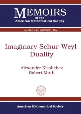 bokomslag Imaginary Schur-Weyl Duality