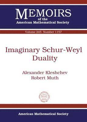 Imaginary Schur-Weyl Duality 1
