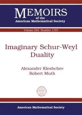Alexander Kleshchev, Robert Muth - Imaginary Schur-Weyl Duality, Häftad