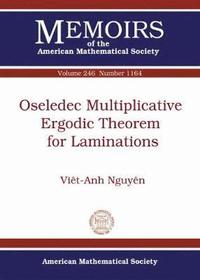 bokomslag Oseledec Multiplicative Ergodic Theorem for Laminations