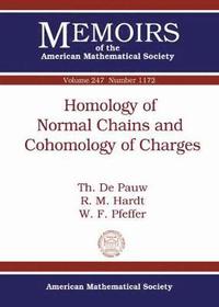 bokomslag Homology of Normal Chains and Cohomology of Charges