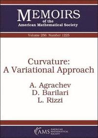 bokomslag Curvature: a Variational Approach