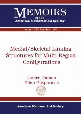 bokomslag Medial/Skeletal Linking Structures for Multi-Region Configurations