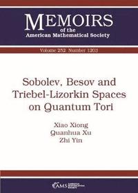 bokomslag Sobolev, Besov and Triebel-Lizorkin Spaces on Quantum Tori