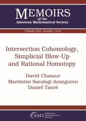 bokomslag Intersection Cohomology, Simplicial Blow-Up and Rational Homotopy