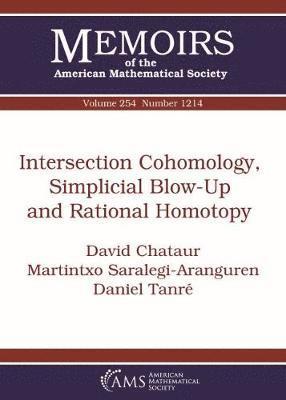Intersection Cohomology, Simplicial Blow-Up and Rational Homotopy 1