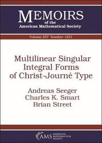bokomslag Multilinear Singular Integral Forms of Christ-Journe Type