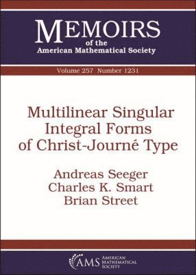 Andreas Seeger, Charles K. Smart, Brian Street - Multilinear Singular Integral Forms of Christ-Journe Type, Häftad