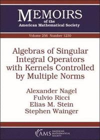 bokomslag Algebras of Singular Integral Operators with Kernels Controlled by Multiple Norms