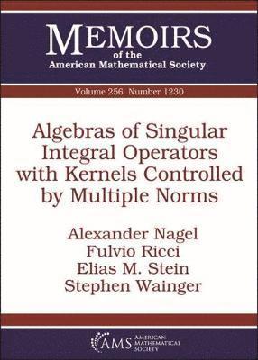 Algebras of Singular Integral Operators with Kernels Controlled by Multiple Norms 1
