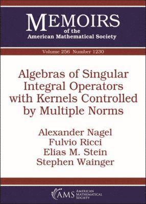 Alexander Nagel, Fulvio Ricci, Elias M. Stein, Stephen Wainger - Algebras of Singular Integral Operators with Kernels Controlled by Multiple Norms, Häftad