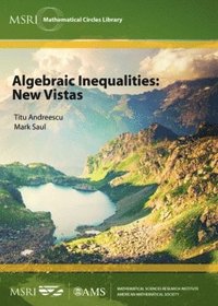 bokomslag Algebraic Inequalities: New Vistas