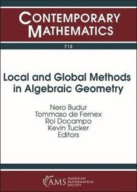 bokomslag Local and Global Methods in Algebraic Geometry