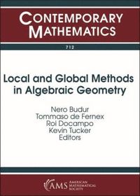 bokomslag Local and Global Methods in Algebraic Geometry