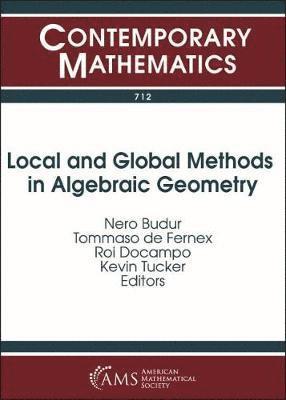 Local and Global Methods in Algebraic Geometry 1