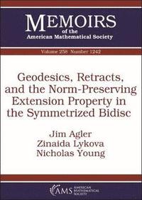 bokomslag Geodesics, Retracts, and the Norm-Preserving Extension Property in the Symmetrized Bidisc