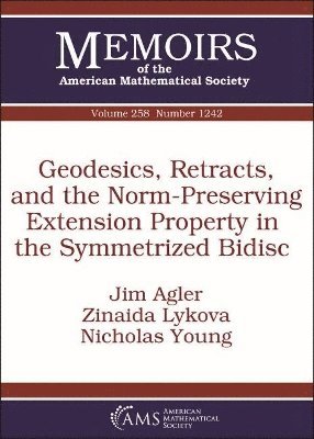 bokomslag Geodesics, Retracts, and the Norm-Preserving Extension Property in the Symmetrized Bidisc