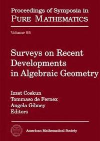 bokomslag Surveys on Recent Developments in Algebraic Geometry