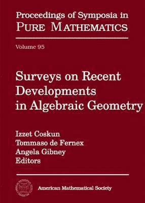 Surveys on Recent Developments in Algebraic Geometry 1