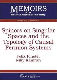 bokomslag Spinors on Singular Spaces and the Topology of Causal Fermion Systems