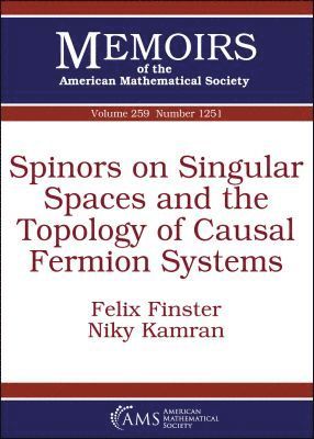 bokomslag Spinors on Singular Spaces and the Topology of Causal Fermion Systems