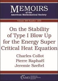 bokomslag On the Stability of Type I Blow Up for the Energy Super Critical Heat Equation