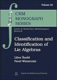 bokomslag Classification and Identification of Lie Algebras