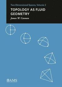 bokomslag Topology as Fluid Geometry