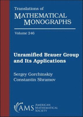 bokomslag Unramified Brauer Group and Its Applications