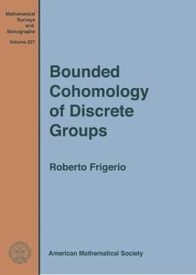 Bounded Cohomology of Discrete Groups 1