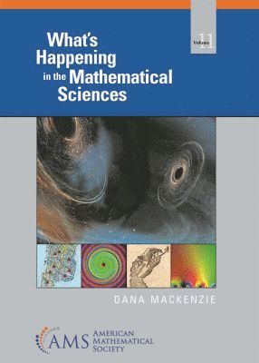 Dana Mackenzie - What's Happening in the Mathematical Sciences, Volume 11, Häftad