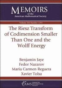 bokomslag The Riesz Transform of Codimension Smaller Than One and the Wolff Energy