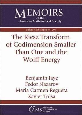 Benjamin Jaye, Fedor Nazarov, Maria Carmen Reguera, Xavier Tolsa - Riesz Transform of Codimension Smaller Than One and the Wolff Energy, Häftad