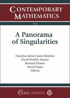 A Panorama of Singularities 1