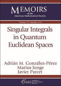bokomslag Singular Integrals in Quantum Euclidean Spaces