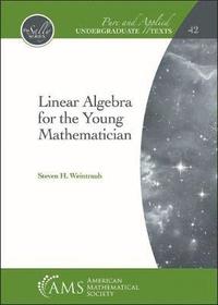 bokomslag Linear Algebra for the Young Mathematician