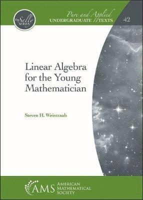 Linear Algebra for the Young Mathematician 1
