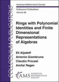 bokomslag Rings with Polynomial Identities and Finite Dimensional Representations of Algebras