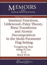 bokomslag Maximal Functions, Littlewood-Paley Theory, Riesz Transforms and Atomic Decomposition in the Multi-Parameter Flag Setting