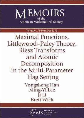 Maximal Functions, Littlewood-Paley Theory, Riesz Transforms and Atomic Decomposition in the Multi-Parameter Flag Setting 1