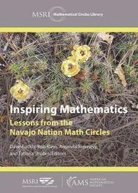 bokomslag Inspiring Mathematics