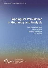bokomslag Topological Persistence in Geometry and Analysis
