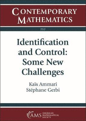 Stephane Gerbi, Kaïs Ammari - Identification and Control, Häftad