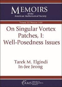 bokomslag On Singular Vortex Patches, I: Well-Posedness Issues