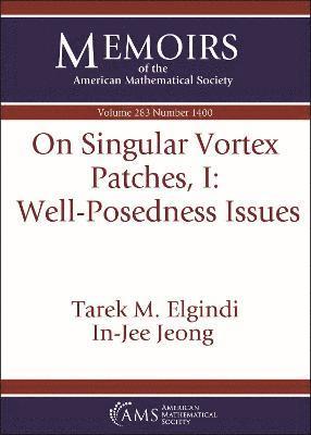 bokomslag On Singular Vortex Patches, I: Well-Posedness Issues