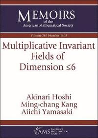 bokomslag Multiplicative Invariant Fields of Dimension $\leq 6$
