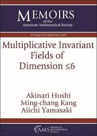 bokomslag Multiplicative Invariant Fields of Dimension $\leq 6$