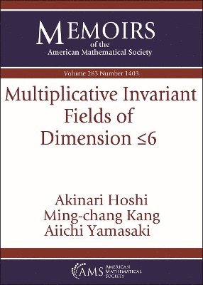 Akinari Hoshi, Ming-chang Kang, Aiichi Yamasaki - Multiplicative Invariant Fields of Dimension $\leq 6$, Häftad