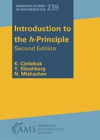 bokomslag Introduction to the h-Principle