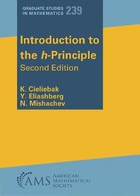 bokomslag Introduction to the H-Principle